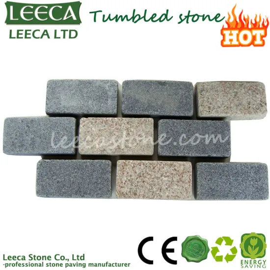 Tumbled mesh paving stone