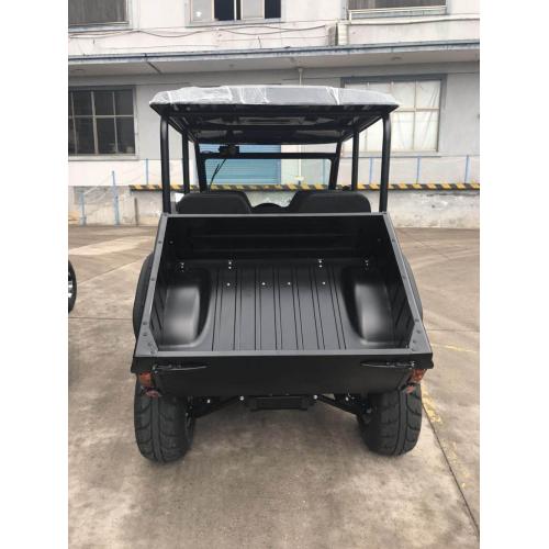 Pure Electric All Terrain Vehicle UTV