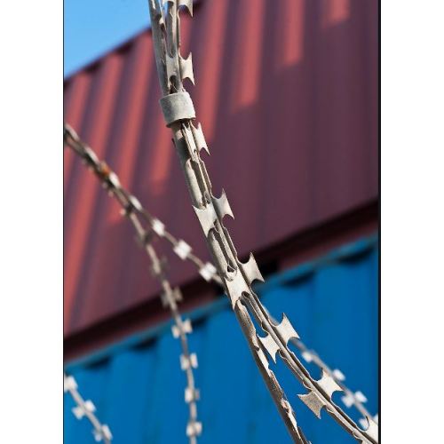 Low Price Hot Dipped Galvanized Razor Wire