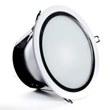 Bridgelux COB LED Downlight 30W