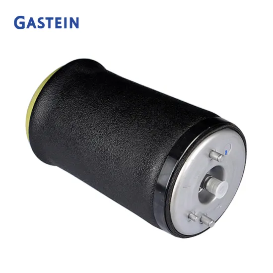 BMW X5 E53 Rear Air Spring Shock Absorbers 37126750355(L) 37126750356(R)