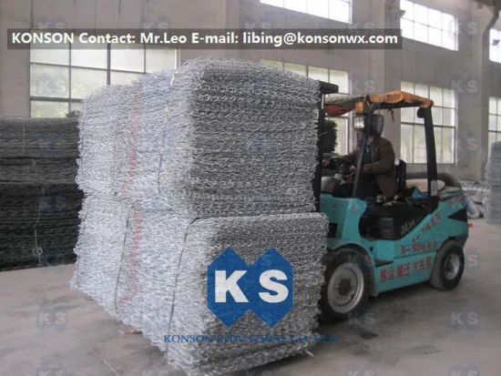 Galvanized Wire Mesh Woven Wire Mesh Welded Wire Fabric Hexagonal Wire Netting