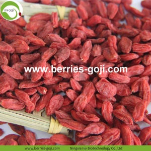 Hot Sale Nutrition Dried Organic Certified Goji Berries