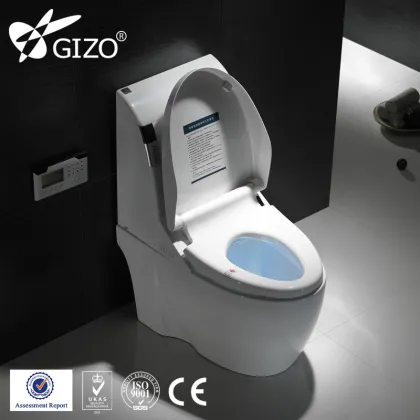 Intelligent water closet squat toilet