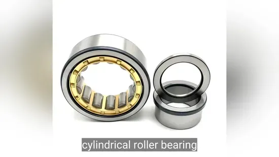 Best Single Row Cylindrical Roller Bearing for Auto Wheel Hub, Water Pump & Gearbox