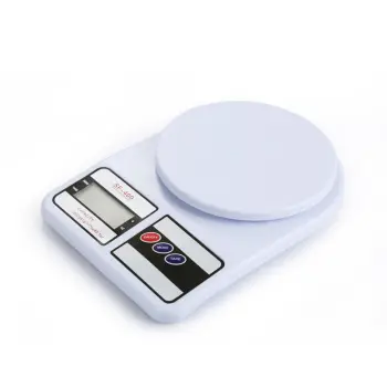 Digital Kitchen Ice Cream Scale - ABS Food Weighing Scale
