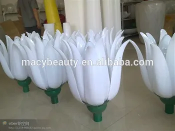 Lamp Cover