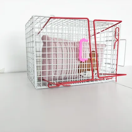 Wholesale Pet Shop China Manufacturer: Small Cat Injection Cage & Crush Cage