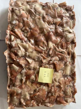 Frozen Squid Leftover Wing Illex Coindetii