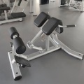 Einstellbare Römische Stuhl -Rücken -Erweiterungsbank -Trainingsmaschine