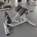 Máquina de entrenamiento de banco de extensión de la silla romana ajustable