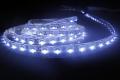 12V Seitenansicht wasserdicht 335 Led Strip Warm White Beleuchtung