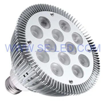 24W Long Lifespan LED PAR38