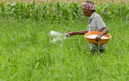 urea fertilizer for grass