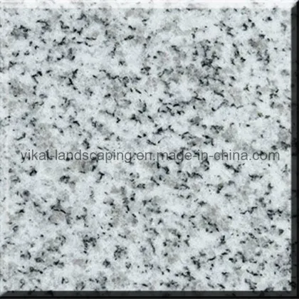 American Caesar White Grey Granite Stone, Marble (IG-03)