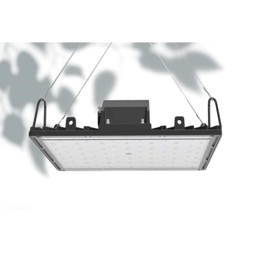 LED Grow Light Deep Red Spectrum para plantas