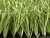 PU coating football artificial grass