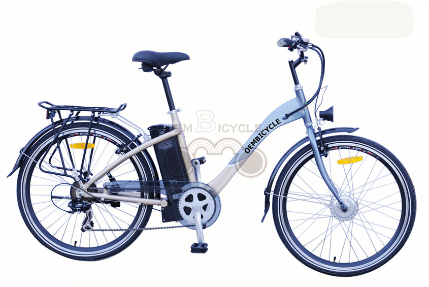 e bike02