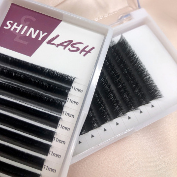3D 4D 5D 6D W Shape Individual False Eyelashes - Volume Eyelash Extensions