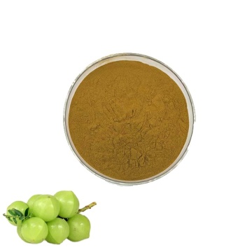 Phyllanthus emblica extract for sale