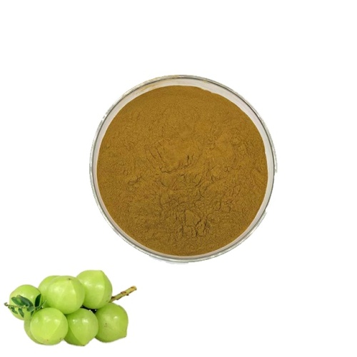 Phyllanthus emblica extract for sale