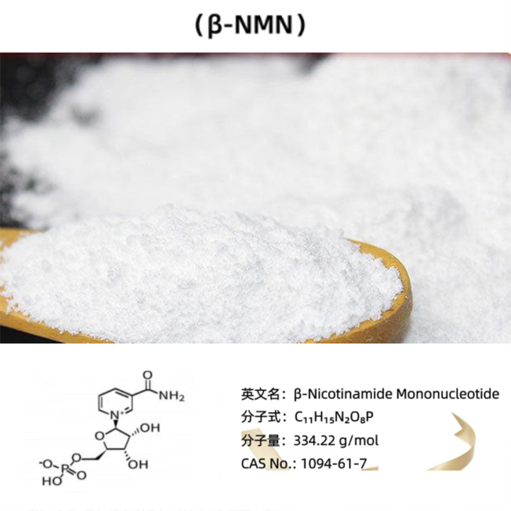 NMN Nicotinamida Mononucleotide Powder 99,9% Pure