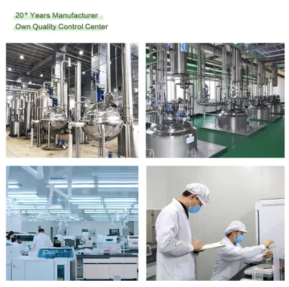 High Quality Bitter Melon Extract