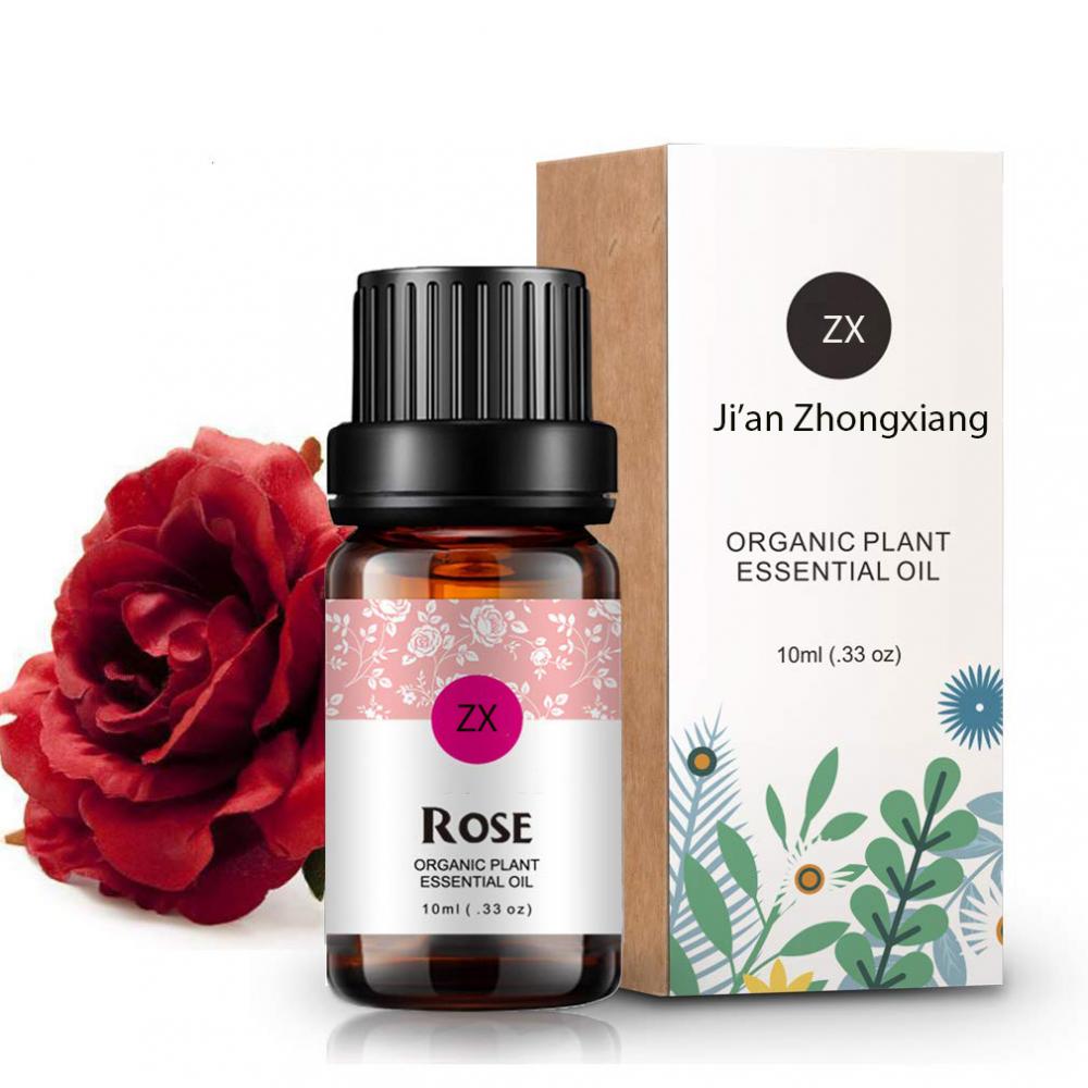 OEM Plant Extract Rose Oil Aromatherapy Massage Body Essential Oil Rose Oil Aromatherapy Massage Body Essential Oil