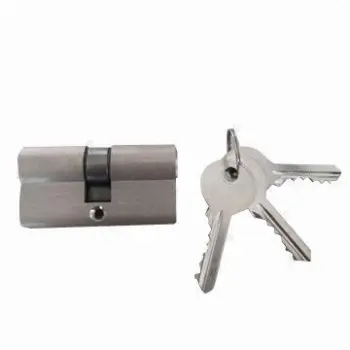 Lock Cylinder, Double Pin Tumbler and S-shaped Socket Plug