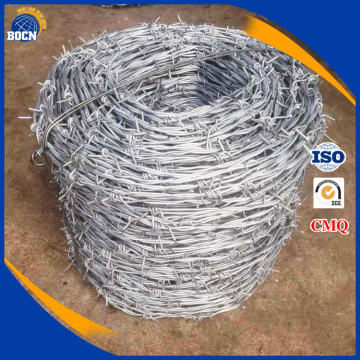 galvanized barbed wire with high quality