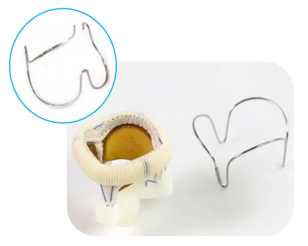 Screenshot 2025-02-28 142222