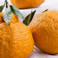 Sweet Fresh mandarin orange