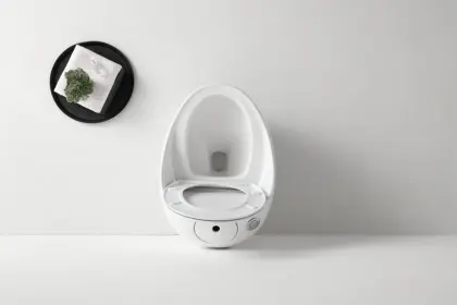 Ceramic Sanitary Ware One Piece Toilet