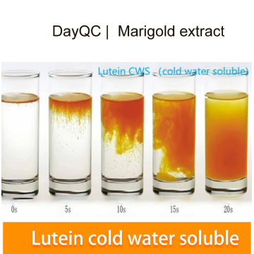 Marigold Extract powder Lutein CWS powder