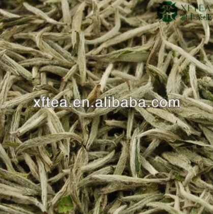 Silver Needle white tea