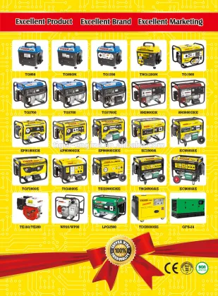 6.5HP TIGER brand Engine TE200