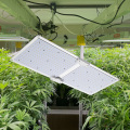 Luces de cultivo LED de lámpara de plantación de cannabis