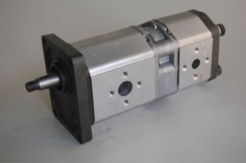 Double gear pump hydraulic