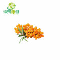 Freeze Dried Fruit Powder Sea Buckthorn Juice Powder Supplier