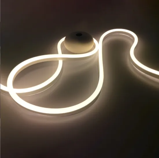 IP65 Waterproof Custom Heat Resistance Silicone Tube LED Flexible Neon Light (1010 SMD 2835 DC12V 24V)