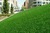 PU backing, S shaped artificial grass for garden