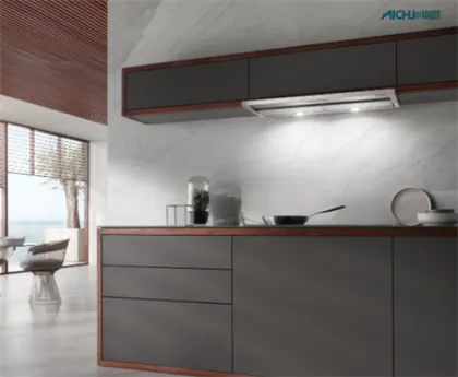 Miele Cooker Hoods Professional Extractor