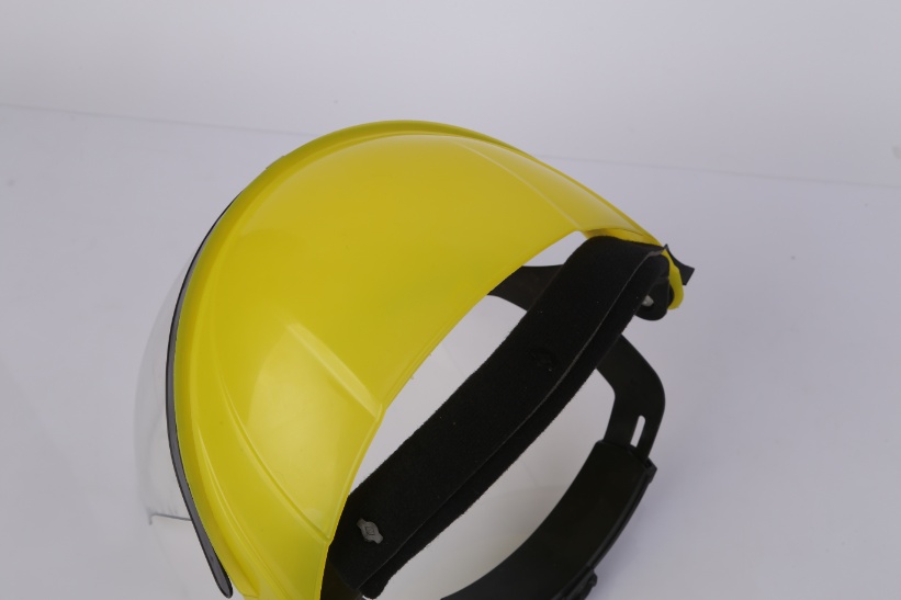 Face Shield with Head Mounted