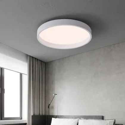 Latest Design Hot Sale LED Light Designer Ceiling Lamp Decor - New Arrival
