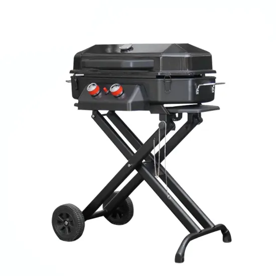 High-Quality, Affordable Steel Iron Portable Mini Gas Barbecue Grills from China