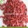 Factory Fruits Premium Good Quality Goji Berry