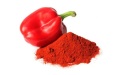 Paprika serbuk warna merah