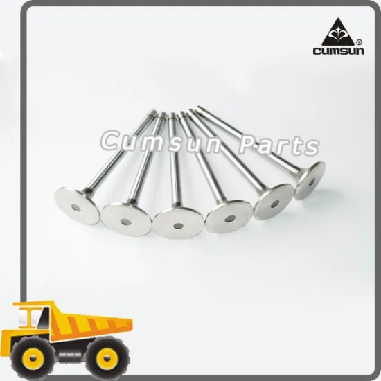 Diesel Engine Parts KTTA19 Intake Valve 3052820