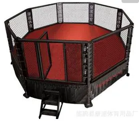 High Quality Made in China Professional Boxing Ring for Sale
