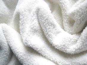 Anti-bacterial sherpa fleece fabric for women lining